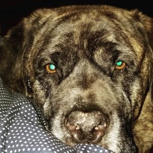 Meet your Posher, Catrini